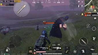 和平精英名字最新爆料